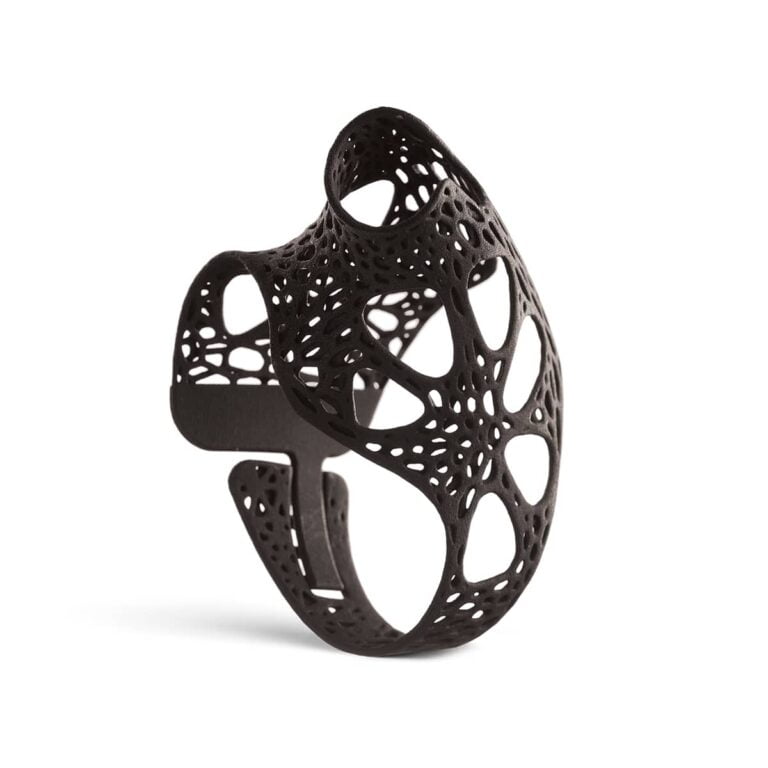Rhizo 3D